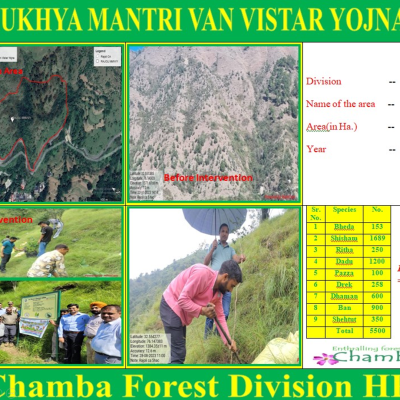 Chamba Division HPFD