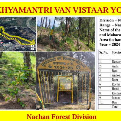 Nachan Forest Division