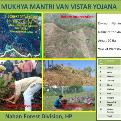 Nahan Forest Division