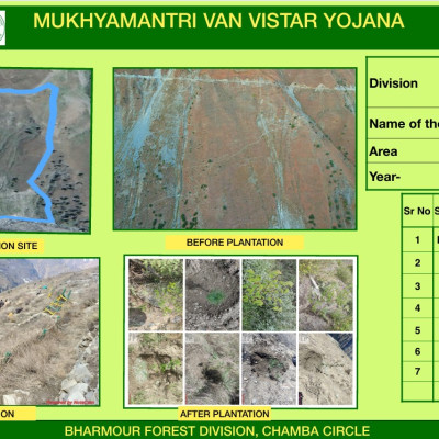 Bharmour Forest Division