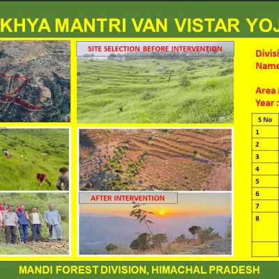 Mandi Division HPFD