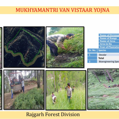 Rajgarh Forest Division