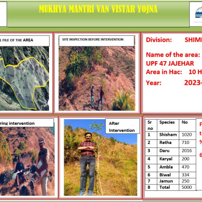 Shimla Forest Division